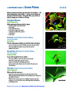 A CHAPERONE’S GUIDE TO  Green Plants Grade 3