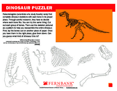 DINOSAUR PUZZLER Paleontologists (scientists who study fossils) rarely find complete dinosaur skeletons with each bone in its proper place. Through careful research, they have to decide where each bone fits. You can try 