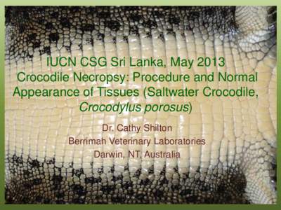 IUCN CSG Sri Lanka, May 2013 Crocodile Necropsy: Procedure and Normal Appearance of Tissues (Saltwater Crocodile, Crocodylus porosus) Dr. Cathy Shilton Berrimah Veterinary Laboratories