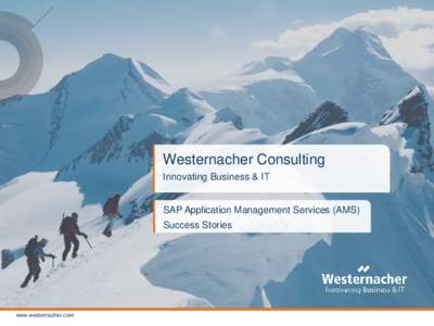 Westernacher Consulting Innovating Business & IT SAP Application Management Services (AMS) Success Stories