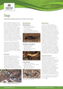 Slugs Funded by the Australian Government’s Caring For Our Country Minimum tillage and stubble retention has produced slugs as a real problem in recent years. The practices we have readily adopted for so many reasons h