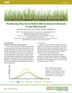 HAY  SP 731-D Producing Hay from Native Warm-Season Grasses in the Mid-South