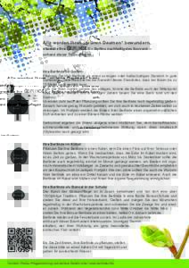 Alle werden Ihren „grünen Daumen“ bewundern, wenn Sie Ihre BerLinde ® – Berlins nachhaltigstes Souvenir –  anhand dieser Tipps pﬂegen
