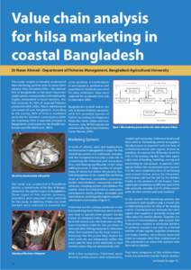 Value chain analysis for hilsa marketing in coastal Bangladesh Dr Nesar Ahmed - Department of Fisheries Management, Bangladesh Agricultural University This study sought to broadly understand hilsa marketing systems with 