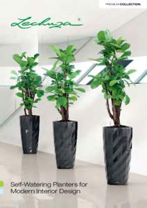 Premium Collection  Self-Watering Planters for Modern Interior Design  2