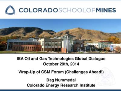 IEA Oil and Gas Technologies Global Dialogue October 29th, 2014 Wrap-Up of CSM Forum (Challenges Ahead!) Dag Nummedal Colorado Energy Research Institute
