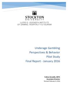 Underage Gambling 
 Perspectives & Behavior 
Pilot Study
Final Report - January 2016