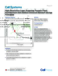 Report  High-Resolution Laser Scanning Reveals Plant Architectures that Reflect Universal Network Design Principles Graphical Abstract