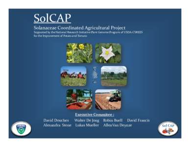 SolCAP Solanaceae Coordinated Agricultural Project Supported by the National Research Initiative Plant Genome Program of USDA‐CSREES  for the Improvement of Potato and Tomato  Executive Commitee :