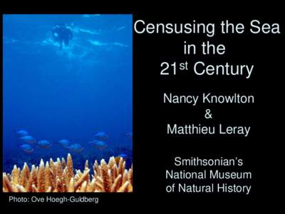 Censusing the Sea in the st 21 Century Nancy Knowlton &