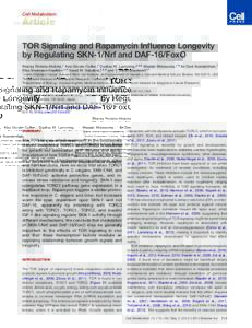Gene expression / Signal transduction / Daf-2 / Daf-16 / Mechanistic target of rapamycin / David M. Sabatini / RNA interference / CRTC1 / Sirolimus / RICTOR / Insulin-like growth factor 1 / Ageing
