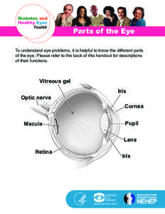 Diabetes and ANATOMY Healthy Eyes Toolkit  OF THE EYE AND ITS FUNCTION