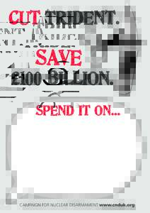 cut Trident.  Save £100 billion. Spend it on...