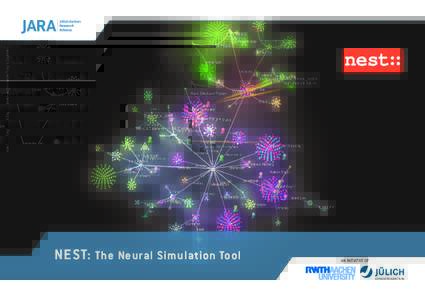 Image source: Yury V. Zaytsev  NEST: The Neural Simulation Tool PARTNERS
