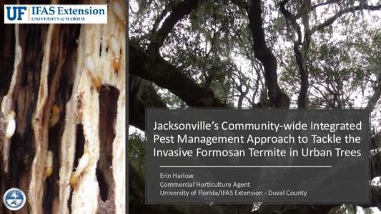 Jacksonville’s Community-wide Integrated Pest Management Approach to Tackle the Invasive Formosan Termite in Urban Trees Erin Harlow Commercial Horticulture Agent University of Florida/IFAS Extension - Duval County
