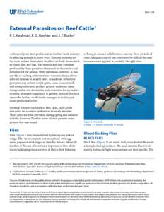 ENY-274  External Parasites on Beef Cattle1
