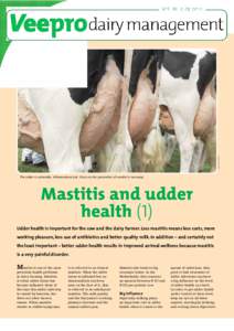 Harrie van Leeuwen  The udder is vulnerable. Inflammations lurk. Focus on the prevention of mastitis is necessary Mastitis and udder health (1)