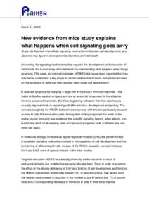 March 21, 2008  New evidence from mice study explains what happens when cell signaling goes awry Study clarifies how intercellular signaling mechanism influences cell development, and absence may figure in developmental 