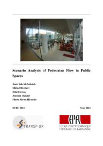Scenario Analysis of Pedestrian Flow in Public Spaces Amir Sohrab Sahaleh Michel Bierlaire Bilal Farooq Antonin Danalet
