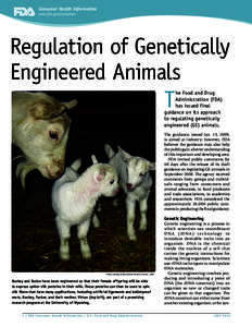 Consumer Health Information www.fda.gov/consumer Regulation of Genetically Engineered Animals T