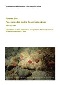 Department for Environment, Food and Rural Affairs  Farnes East Recommended Marine Conservation Zone January 2015 Consultation on Sites Proposed for Designation in the Second Tranche