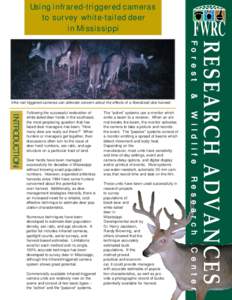 Using infrared-triggered cameras to survey white-tailed deer in Mississippi FWRC