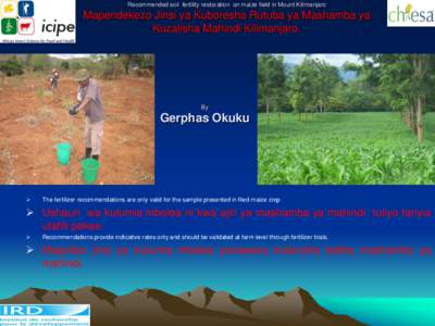 Recommended soil fertility restoration on maize field in Mount Kilimanjaro  Mapendekezo Jinsi ya Kuboresha Rutuba ya Mashamba ya Kuzalisha Mahindi Kilimanjaro.  By