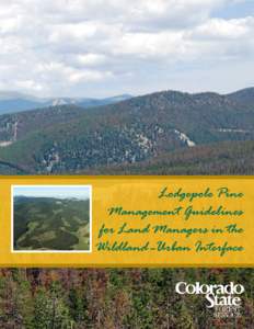 Lodgepole Pine Management Guidelines for Land Managers in the Wildland -Urban Interface  Colorado State Forest Service