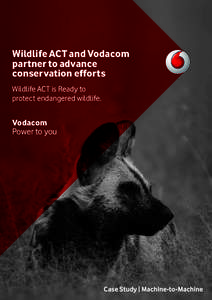 Wildlife ACT and Vodacom partner to advance conservation efforts Wildlife ACT is Ready to protect endangered wildlife.