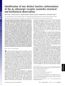 Identification of two distinct inactive conformations of the ␤2-adrenergic receptor reconciles structural and biochemical observations Ron O. Drora,1, Daniel H. Arlowa,1, David W. Borhania, Morten Ø. Jensena, Stefano 