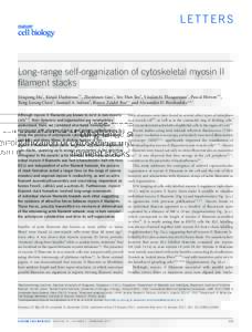 Long-range self-organization of cytoskeletal myosin II filament stacks