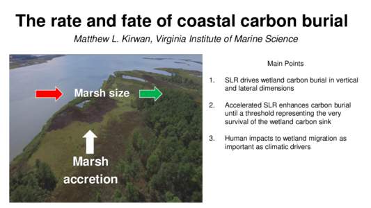 The rate and fate of coastal carbon burial Matthew L. Kirwan, Virginia Institute of Marine Science Main Points 1.  SLR drives wetland carbon burial in vertical