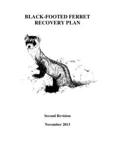 BLACK-FOOTED FERRET RECOVERY PLAN Second Revision November 2013