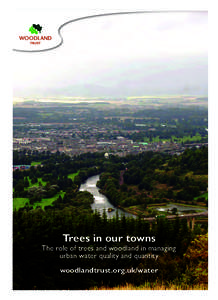 Trees in our towns  The role of trees and woodland in managing urban water quality and quantity woodlandtrust.org.uk/water 1