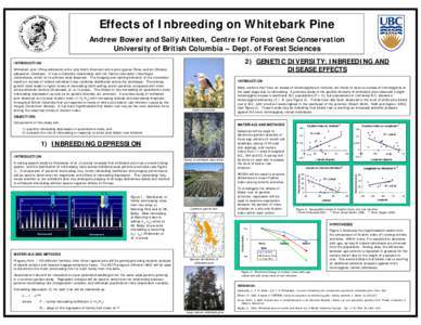 Effects of Inbreeding on Whitebark Pine Andrew Bower and Sally Aitken, Centre for Forest Gene Conservation University of British Columbia – Dept. of Forest Sciences 2) GENETIC DIVERSITY: INBREEDING AND DISEASE EFFECTS
