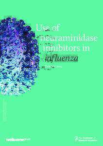 Use of neuraminidase inhibitors in influenza  Image: Swine Flu virus Sculpture