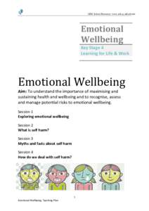 ARK School Resource: www.ark.ac.uk/schools  Emotional Wellbeing Key Stage 4 Learning for Life & Work