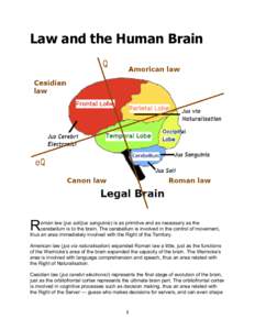 Law and the Human Brain  R oman law (jus soli/jus sanguinis) is as primitive and as necessary as the cerebellum is to the brain. The cerebellum is involved in the control of movement,