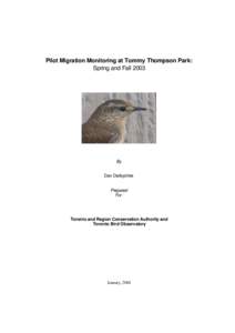 Pilot Migration Monitoring at Tommy Thompson Park: Spring and Fall 2003 By Dan Derbyshire Prepared