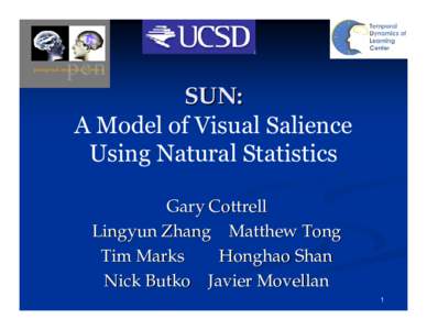 SUN: A Model of Visual Salience Using Natural Statistics Gary Cottrell Lingyun Zhang Matthew Tong Tim Marks