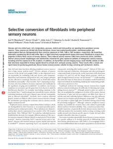 a r t ic l e s  Selective conversion of fibroblasts into peripheral sensory neurons  npg
