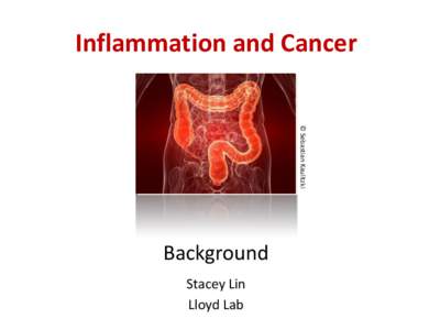 Inflammation and Cancer  © Sebastian Kaulitzki Background Stacey Lin