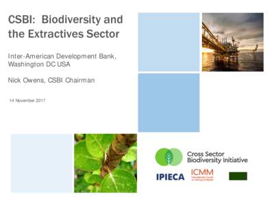CSBI: Biodiversity and the Extractives Sector Inter-American Development Bank, Washington DC USA Nick Owens, CSBI Chairman 14 November 2017