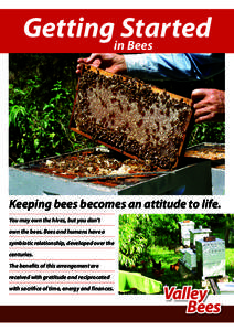 Agriculture / Brood / Swarming / Worker bee / Beehive / Honey bee / Drone / Nuc / Bee / Beekeeping / Plant reproduction / Pollination