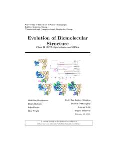 University of Illinois at Urbana-Champaign Luthey-Schulten Group Theoretical and Computational Biophysics Group Evolution of Biomolecular Structure