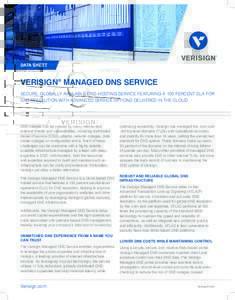 Domain name system / Verisign / Domain Name System Security Extensions / Top-level domain / Domain name / .net / Comparison of DNS server software / OpenDNS