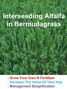 Interseeding Alfalfa in Bermudagrass Eliminate Your N Cost Increase The Value Of Your Hay