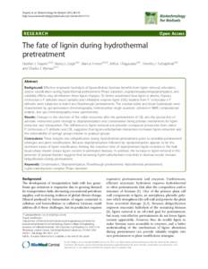 The fate of lignin during hydrothermal pretreatment