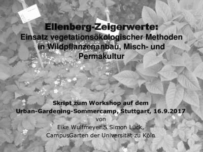 “CampusGarten an der Uni Köln.   Ein Urban-Gardening Projekt”