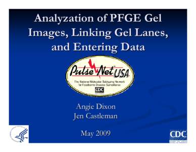 Analyzation of PFGE Gel Images, Linking Gel Lanes, and Entering Data Angie Dixon Jen Castleman